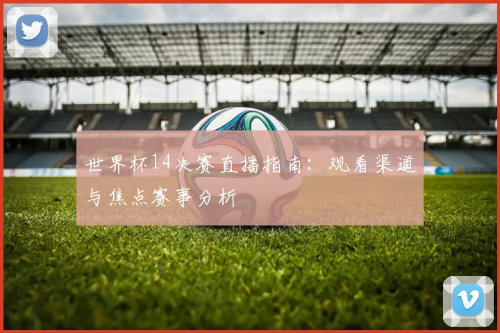 世界杯14决赛直播指南：观看渠道与焦点赛事分析