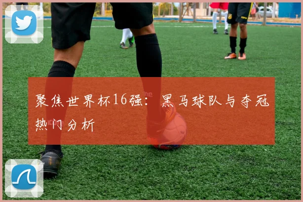 聚焦世界杯16强：黑马球队与夺冠热门分析